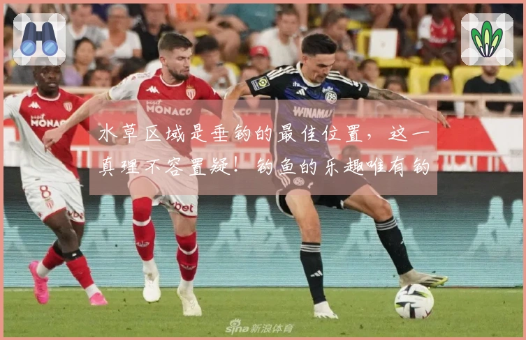 水草区域是垂钓的最佳位置，这一真理不容置疑！钓鱼的乐趣唯有钓者知晓。
