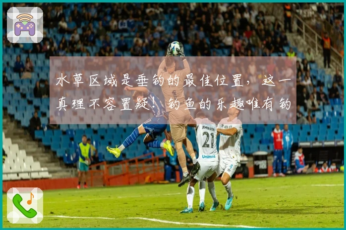 水草区域是垂钓的最佳位置，这一真理不容置疑！钓鱼的乐趣唯有钓者知晓。